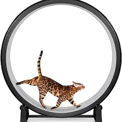 One Fast Cat – Cat Exercise Wheel – Gen. 7 – Safe 48″ Diameter
