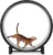 One Fast Cat – Cat Exercise Wheel – Gen. 7 – Safe 48″ Diameter